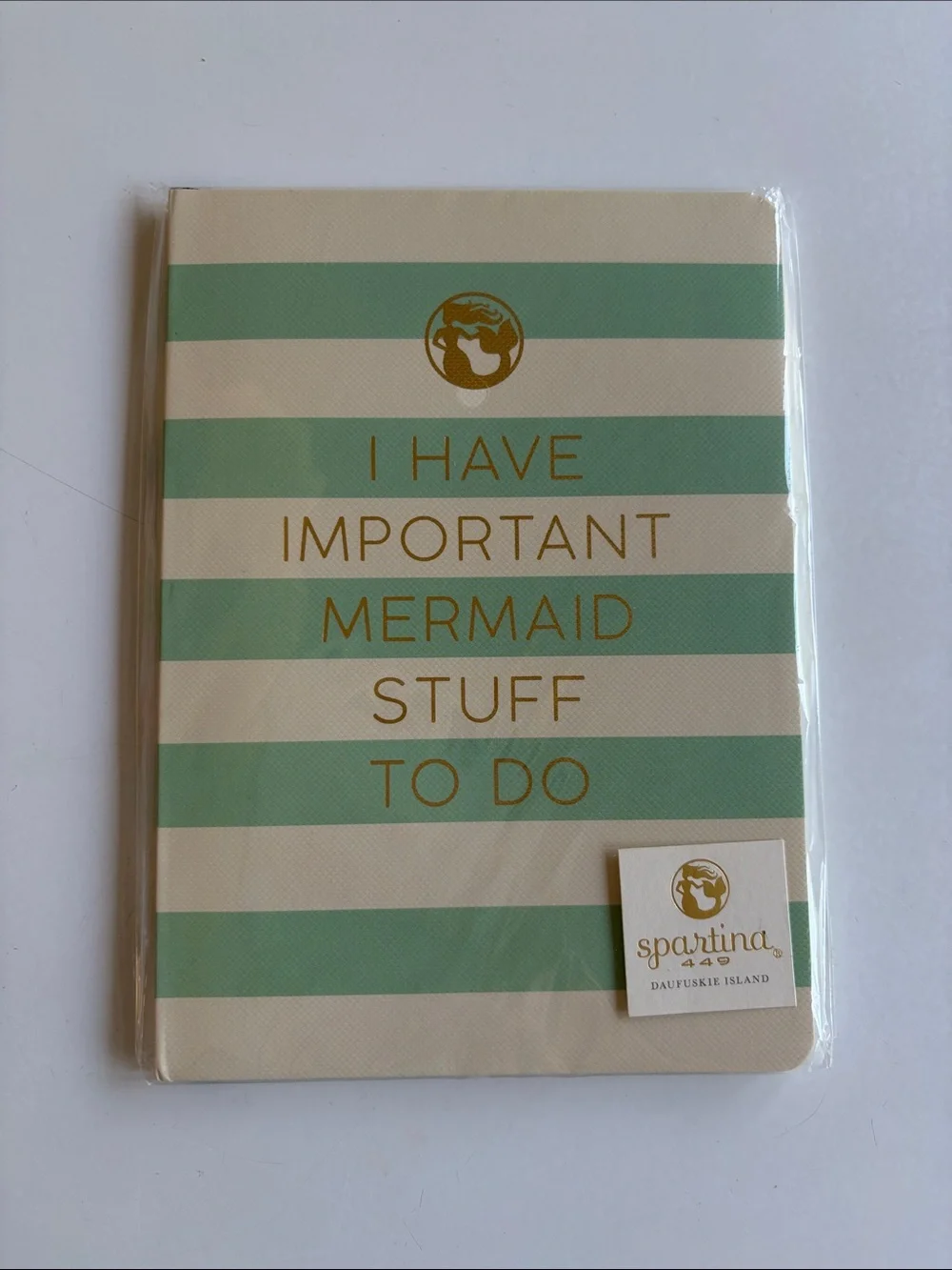 Spartina 449 Cream & Mint 'I Have Important Mermaid Stuff To Do' Notebook